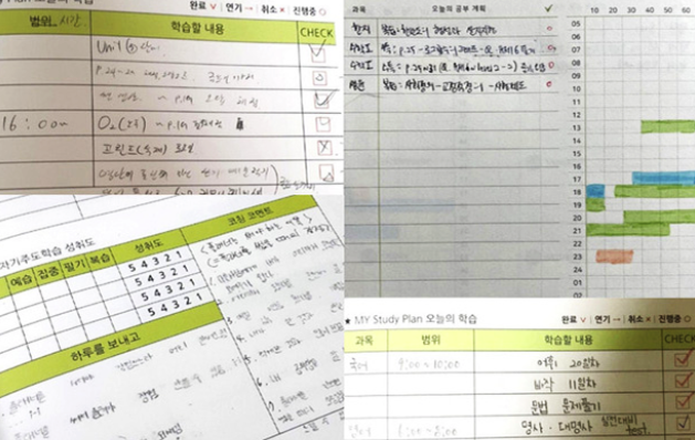 자기주도 학습 성취도 체크리스트